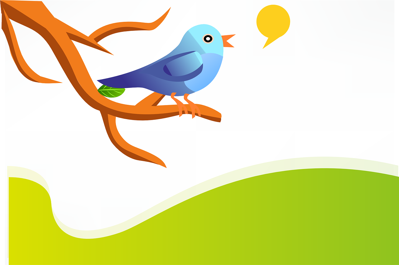 twitter lists