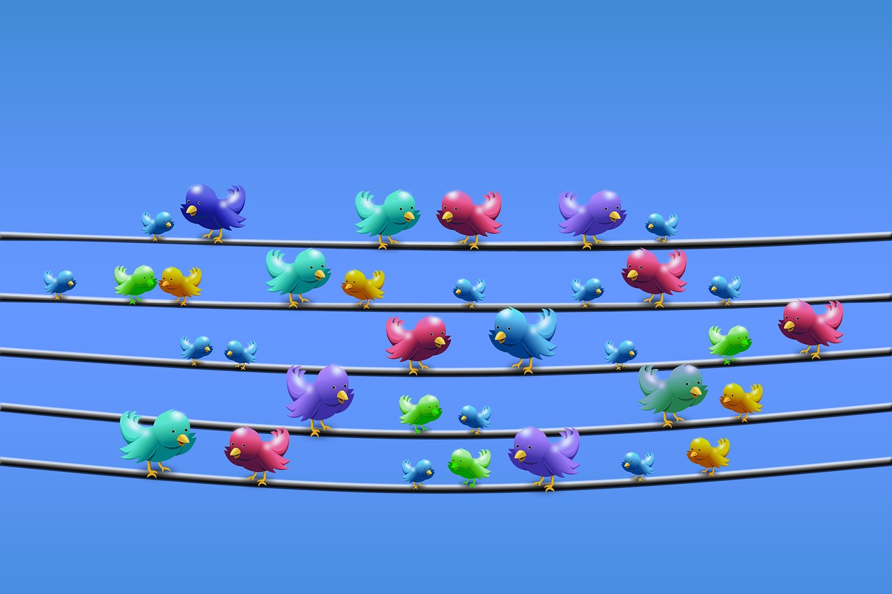 colourful cartoon birds sat on powerlines with a blue background - alternatives to twitter